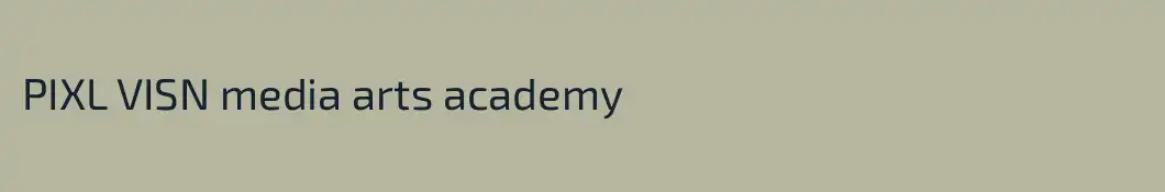 PIXL VISN media arts academy